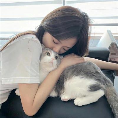 驯悍记之现代篇